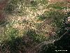 Cliquez ici pour voir l'image (bMaroc 029__ copie.jpg)