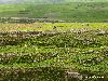 Cliquez ici pour voir l'image (bMaroc 081_ copie.jpg)