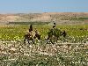 Cliquez ici pour voir l'image (bMaroc 118__ copie.jpg)