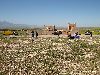 Cliquez ici pour voir l'image (bMaroc 119_ copie.jpg)