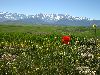 Cliquez ici pour voir l'image (bMaroc 129_ copie.jpg)