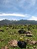 Cliquez ici pour voir l'image (dMaroc 219_ copie.jpg)